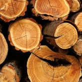 Защита и консервация древесины